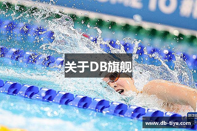 关于DB旗舰